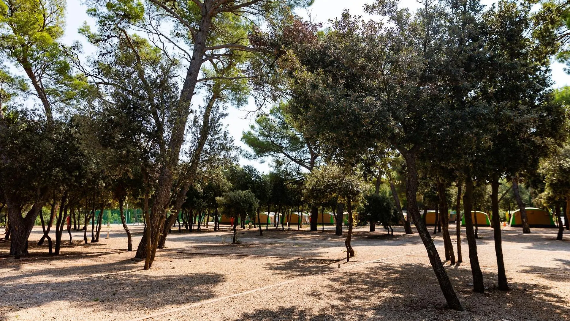 Campsite Camping Park Soline Pitches Biograd Na Moru